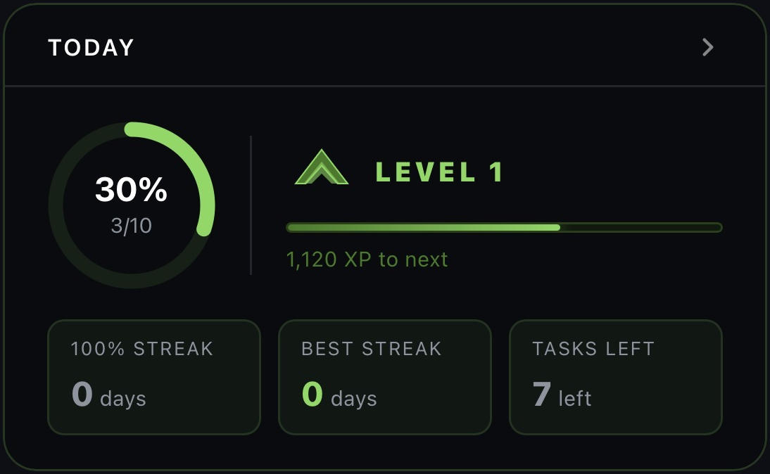 Daily execution score and level progress